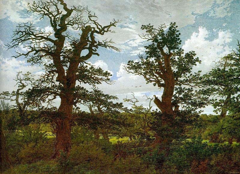 Caspar David Friedrich Landscape with Oak Trees and a Hunter Sweden oil painting art